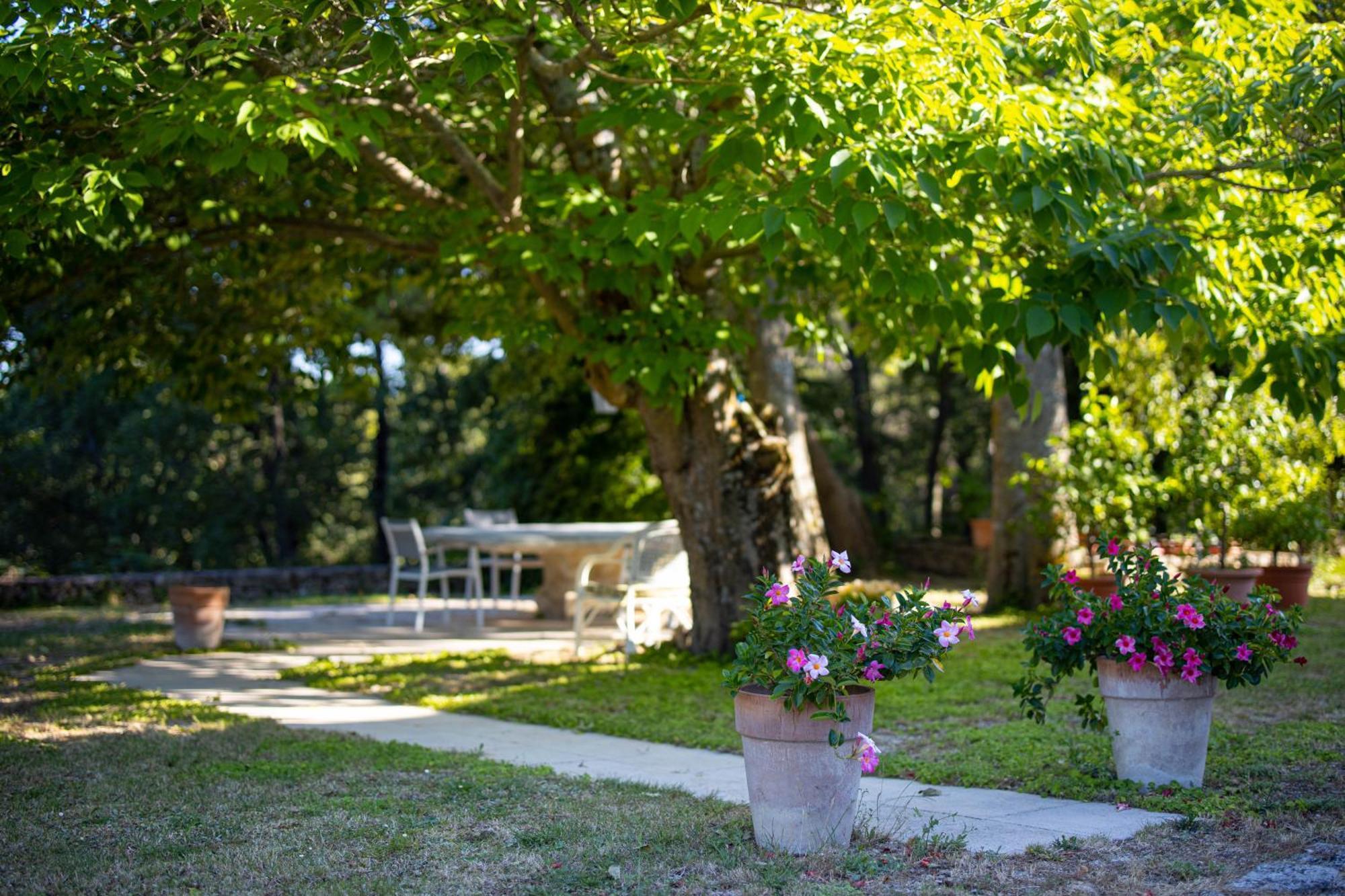 Le Mas Serenite Ansouis Εξωτερικό φωτογραφία